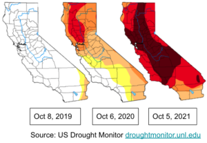 What You Can Do About California’s Drought