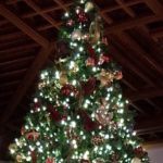 Sustainable Holiday Tips