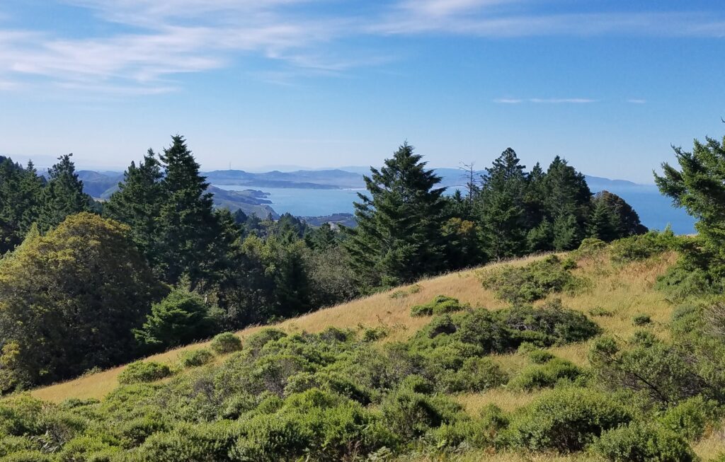 Earth Month: Celebrate Our Sustaining Planet